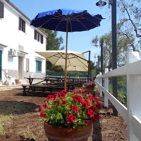 Agriturismo Affittacamere Atlhos Vieste Bagian luar foto