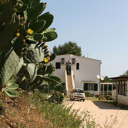 Agriturismo Affittacamere Atlhos Vieste Bagian luar foto