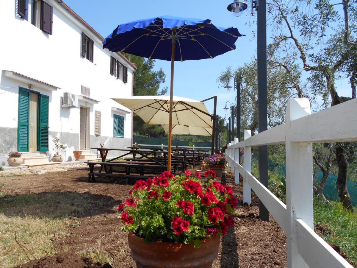 Agriturismo Affittacamere Atlhos Vieste Bagian luar foto