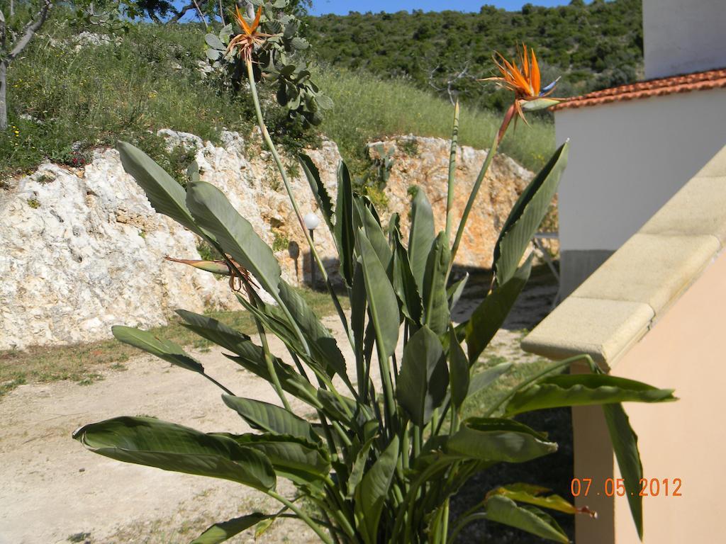 Agriturismo Affittacamere Atlhos Vieste Bagian luar foto