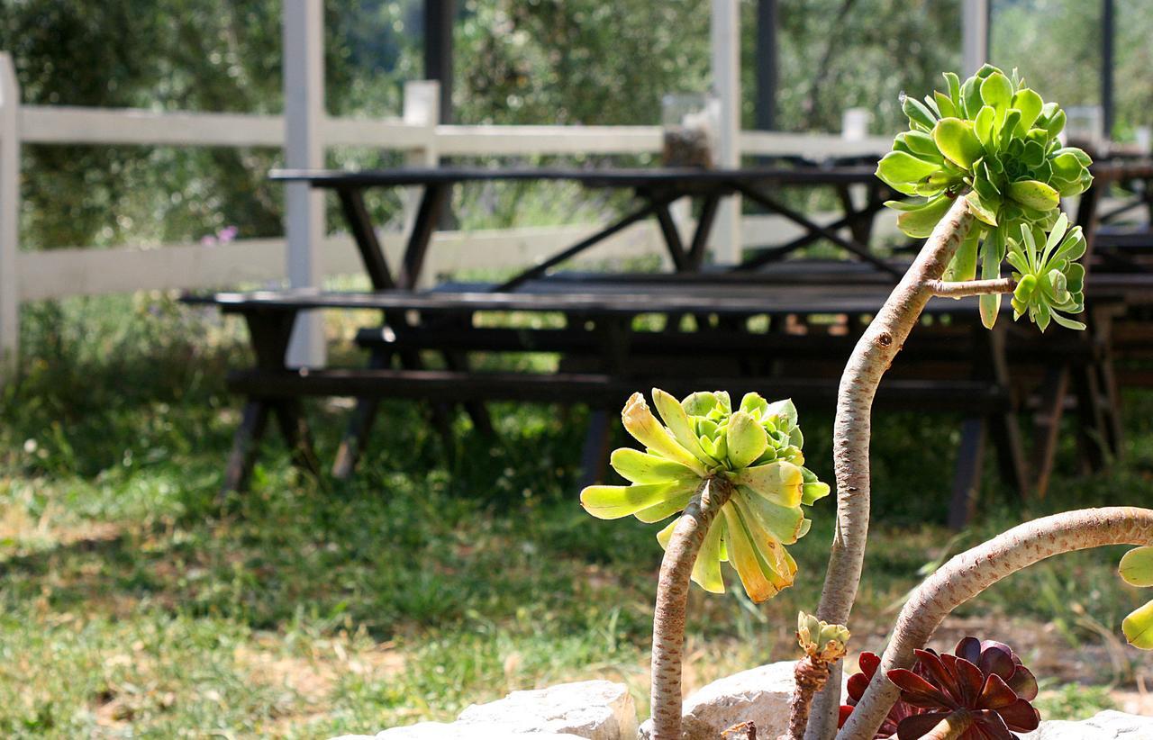 Agriturismo Affittacamere Atlhos Vieste Bagian luar foto